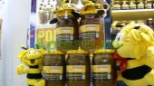 Pachet API IMUNIZARE: Energizant Apicol 850g, Apilarnil (30%) in miere de salcam 400 g, Fagure 500 g, Tinctura de propolis 20 ml. 